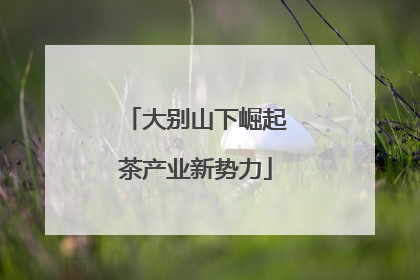 大别山下崛起茶产业新势力