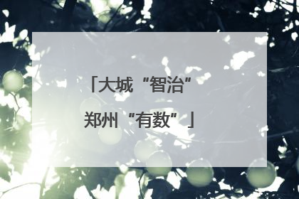 大城“智治” 郑州“有数”