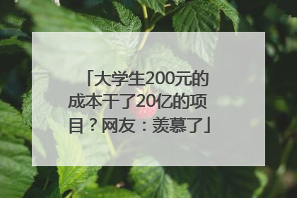 大学生200元的成本干了20亿的项目？网友：羡慕了