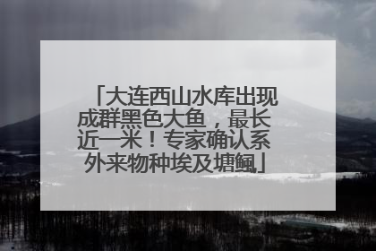 大连西山水库出现成群黑色大鱼，最长近一米！专家确认系外来物种埃及塘鲺