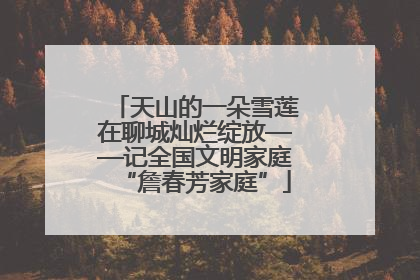 天山的一朵雪莲在聊城灿烂绽放——记全国文明家庭“詹春芳家庭”