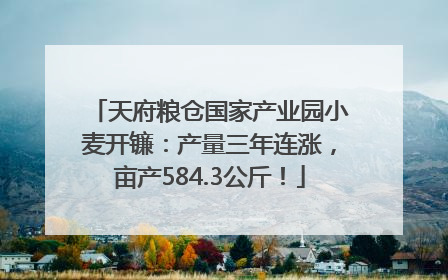 天府粮仓国家产业园小麦开镰：产量三年连涨，亩产584.3公斤！