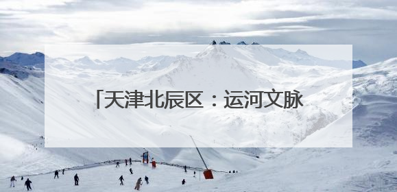天津北辰区：运河文脉滋养 多元文化绽放