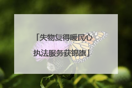 失物复得暖民心 执法服务获锦旗