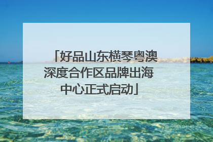 好品山东横琴粤澳深度合作区品牌出海中心正式启动