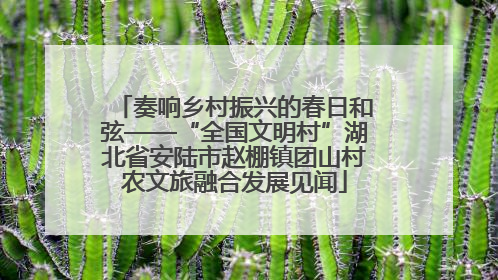 奏响乡村振兴的春日和弦——“全国文明村”湖北省安陆市赵棚镇团山村农文旅融合发展见闻