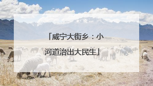 威宁大街乡：小河道治出大民生