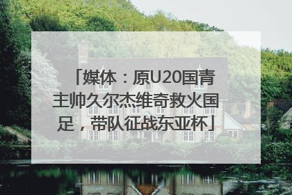 媒体：原U20国青主帅久尔杰维奇救火国足，带队征战东亚杯