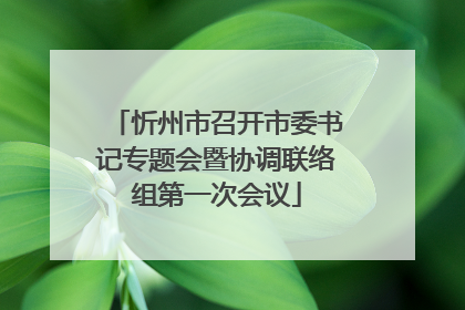 忻州市召开市委书记专题会暨协调联络组第一次会议