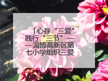 心存“三爱”践行“三节”——淄博高新区第七小学组织三爱三节主题活动