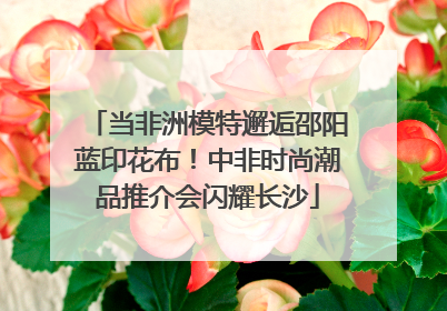 当非洲模特邂逅邵阳蓝印花布！中非时尚潮品推介会闪耀长沙