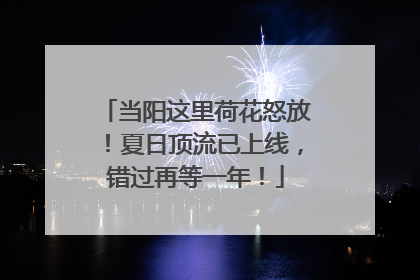 当阳这里荷花怒放！夏日顶流已上线，错过再等一年！