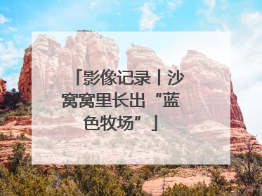 影像记录丨沙窝窝里长出“蓝色牧场”