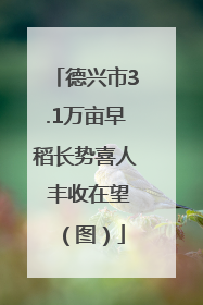 德兴市3.1万亩早稻长势喜人 丰收在望（图）