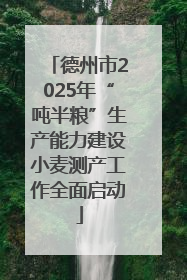 德州市2025年“吨半粮”生产能力建设小麦测产工作全面启动