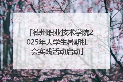 德州职业技术学院2025年大学生暑期社会实践活动启动