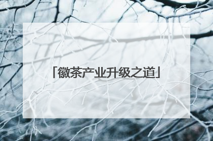 徽茶产业升级之道