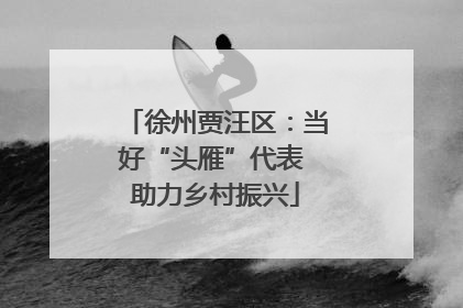 徐州贾汪区：当好“头雁”代表 助力乡村振兴