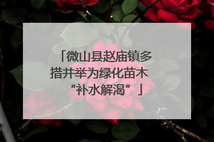 微山县赵庙镇多措并举为绿化苗木“补水解渴”