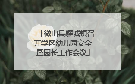微山县驩城镇召开学区幼儿园安全暨园长工作会议