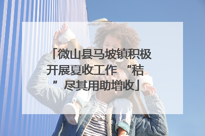 微山县马坡镇积极开展夏收工作 “秸”尽其用助增收