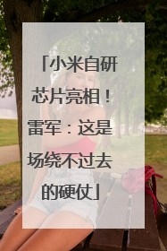 小米自研芯片亮相！雷军：这是场绕不过去的硬仗