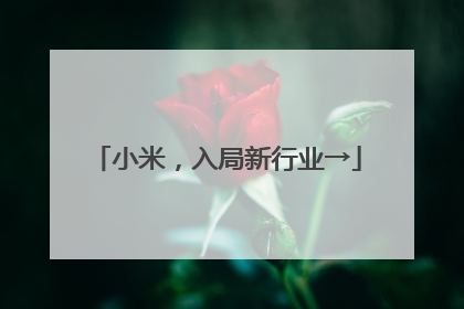小米，入局新行业→