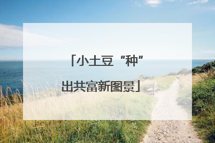小土豆“种”出共富新图景
