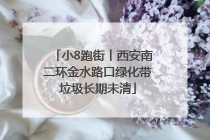 小8跑街丨西安南二环金水路口绿化带垃圾长期未清