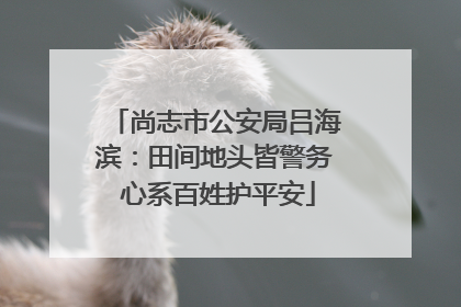 尚志市公安局吕海滨：田间地头皆警务 心系百姓护平安