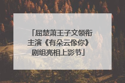 屈楚萧王子文领衔主演《有朵云像你》剧组亮相上影节