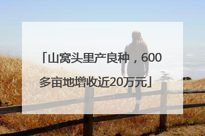 山窝头里产良种，600多亩地增收近20万元