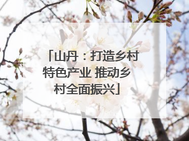 山丹：打造乡村特色产业 推动乡村全面振兴