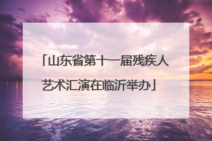 山东省第十一届残疾人艺术汇演在临沂举办