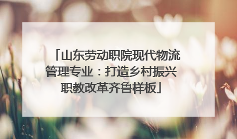 山东劳动职院现代物流管理专业：打造乡村振兴职教改革齐鲁样板