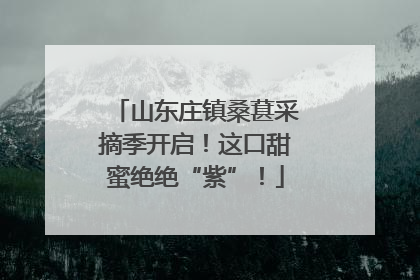 山东庄镇桑葚采摘季开启！这口甜蜜绝绝“紫”！