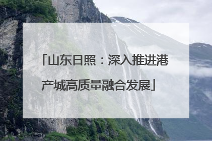 山东日照：深入推进港产城高质量融合发展