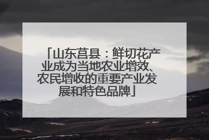 山东莒县：鲜切花产业成为当地农业增效、农民增收的重要产业发展和特色品牌