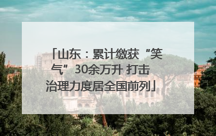 山东：累计缴获“笑气”30余万升 打击治理力度居全国前列
