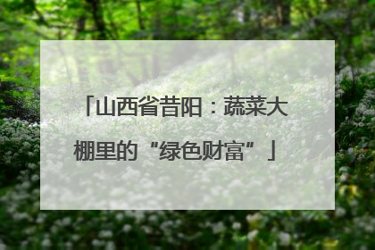 山西省昔阳：蔬菜大棚里的“绿色财富”