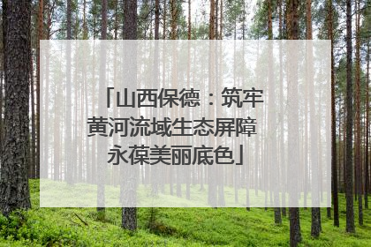 山西保德：筑牢黄河流域生态屏障 永葆美丽底色