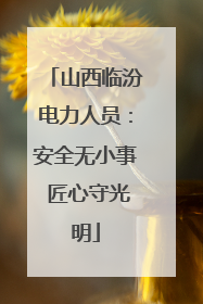 山西临汾电力人员：安全无小事 匠心守光明
