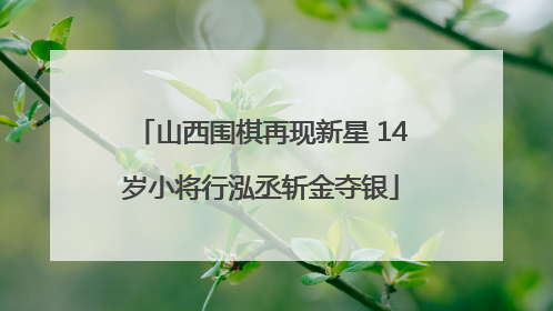 山西围棋再现新星 14岁小将行泓丞斩金夺银