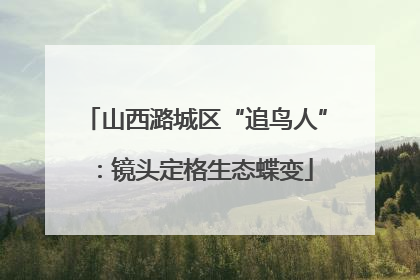 山西潞城区“追鸟人”：镜头定格生态蝶变