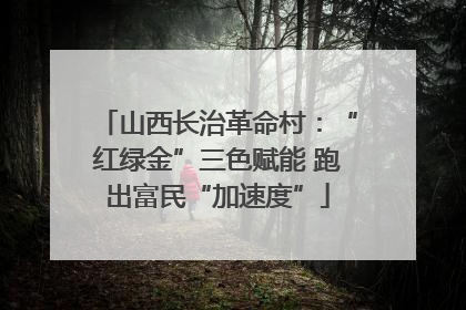 山西长治革命村：“红绿金”三色赋能 跑出富民“加速度”