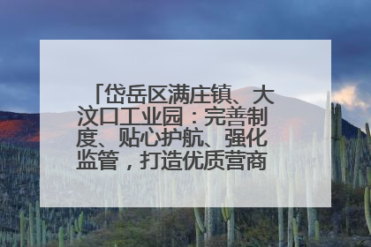 岱岳区满庄镇、大汶口工业园：完善制度、贴心护航、强化监管，打造优质营商“强磁场”