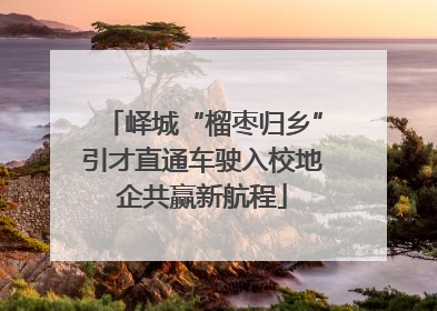 峄城“榴枣归乡”引才直通车驶入校地企共赢新航程