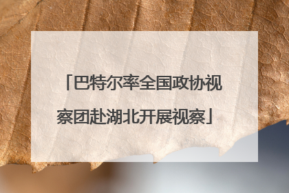 巴特尔率全国政协视察团赴湖北开展视察