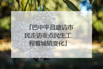 巴中平昌邀请市民走访重点民生工程看城镇变化