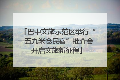 巴中文旅示范区举行“一五九米仓民宿”推介会 开启文旅新征程